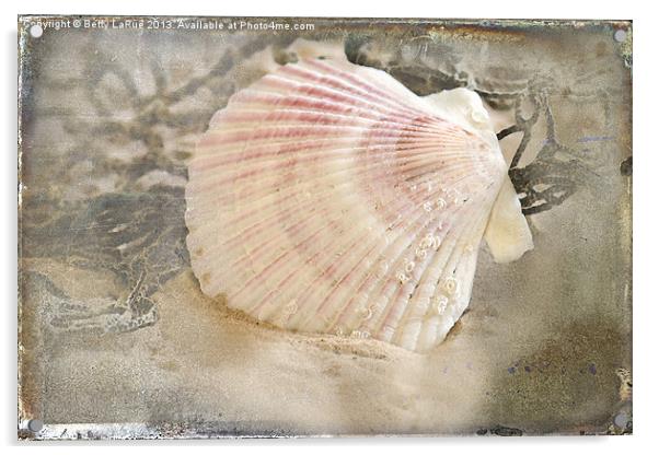 Seashell On The Beach Acrylic by Betty LaRue
