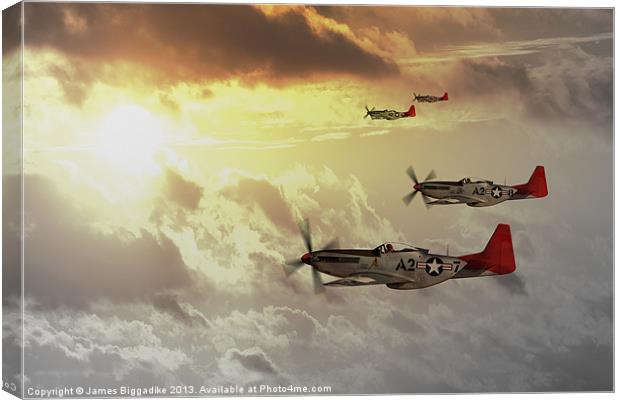 Red Tails Canvas Print by J Biggadike