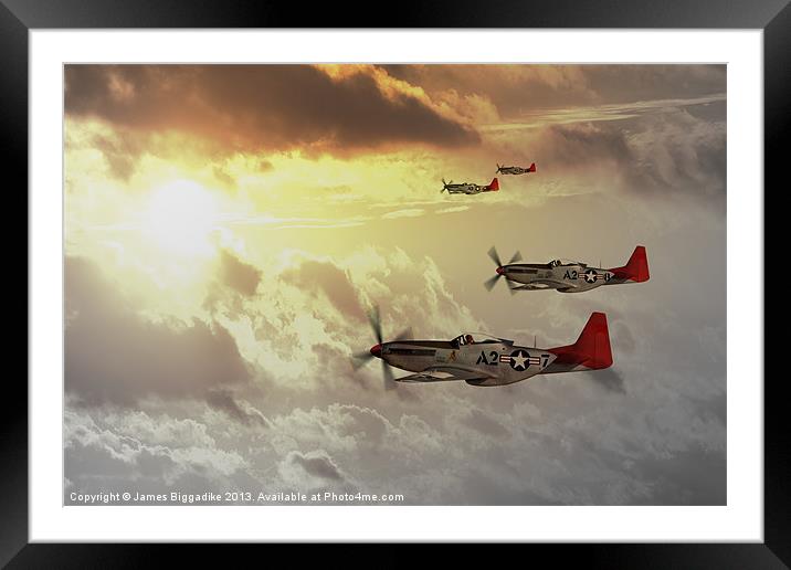 Red Tails Framed Mounted Print by J Biggadike
