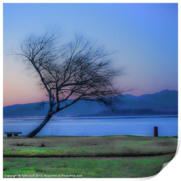 Tree on the Banks of the River Clyde Print by Tylie Duff Photo Art