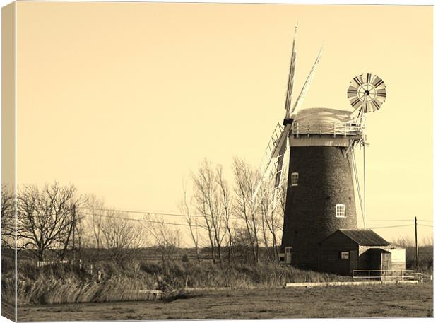 Horsey Wind Pump Canvas Print by Mark Lee