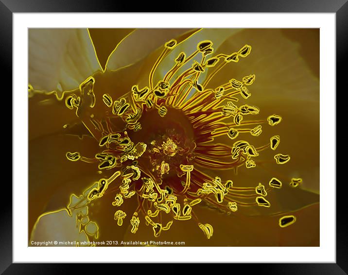 Electric Flower Framed Mounted Print by michelle whitebrook