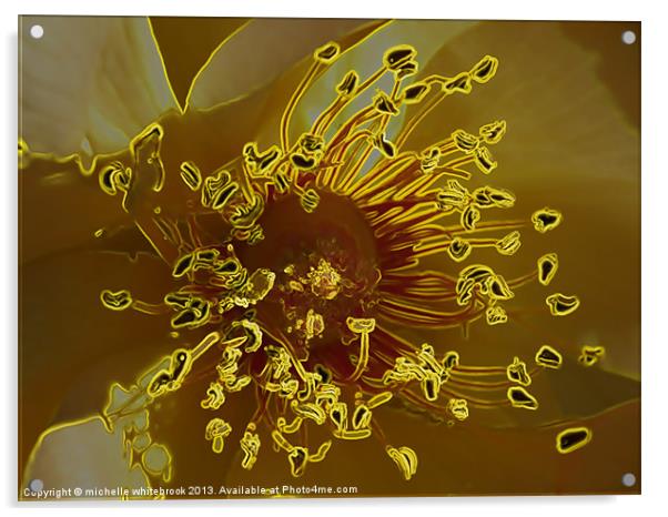 Electric Flower Acrylic by michelle whitebrook