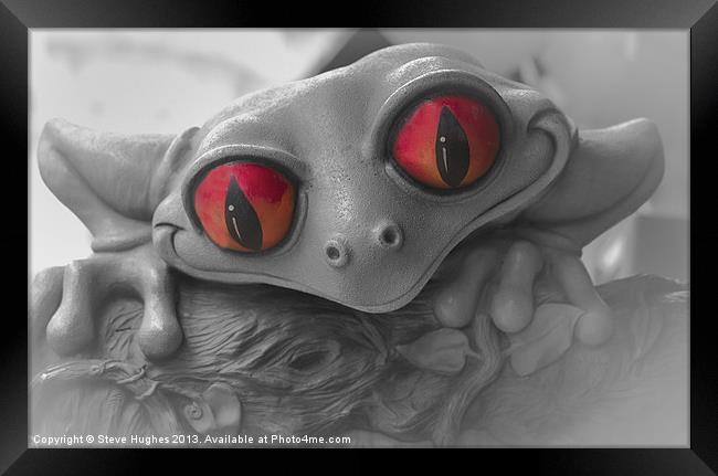 Red Eyed Frog Framed Print by Steve Hughes