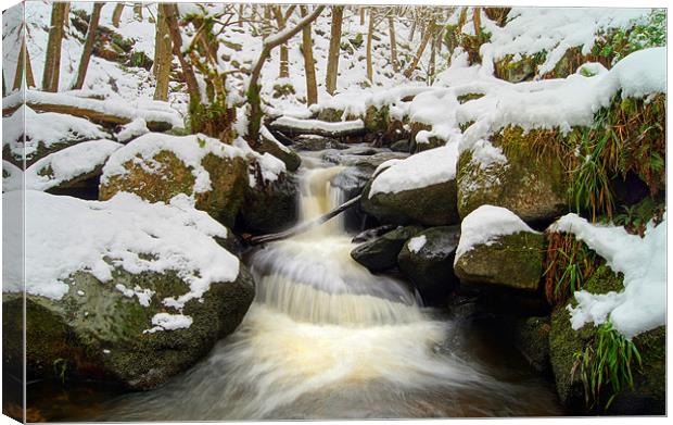 Winter In Padley Gorge Canvas Print by Darren Galpin
