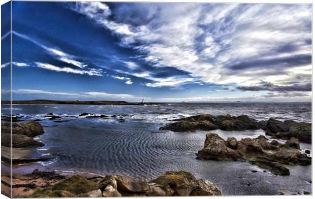 Firth of Forth from Elie Harbour Canvas Print by Andy Anderson