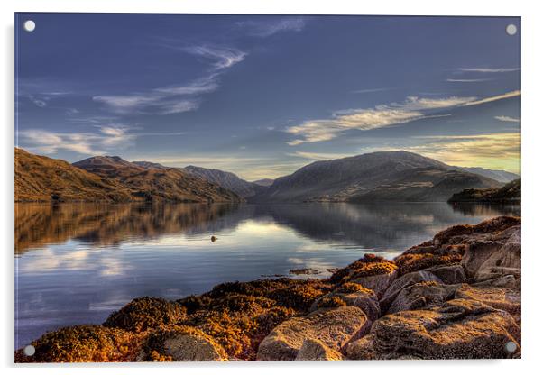 Loch Glendhu Scotland Acrylic by Derek Beattie