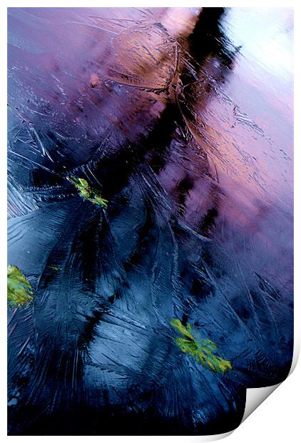 Purple Sky Lake Print by Daniel Fellowes