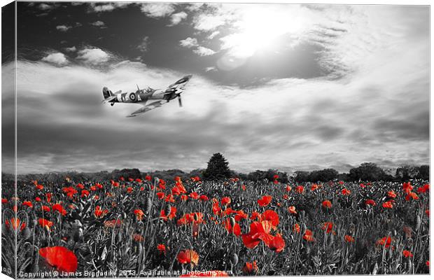 Spitfire Poppy Pass Canvas Print by J Biggadike