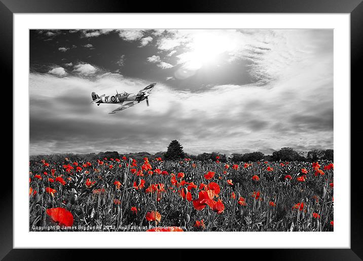 Spitfire Poppy Pass Framed Mounted Print by J Biggadike