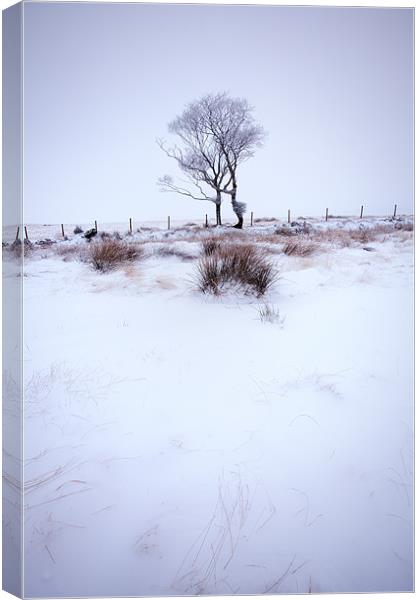 A Winter Dance I Canvas Print by Andrew Wheatley