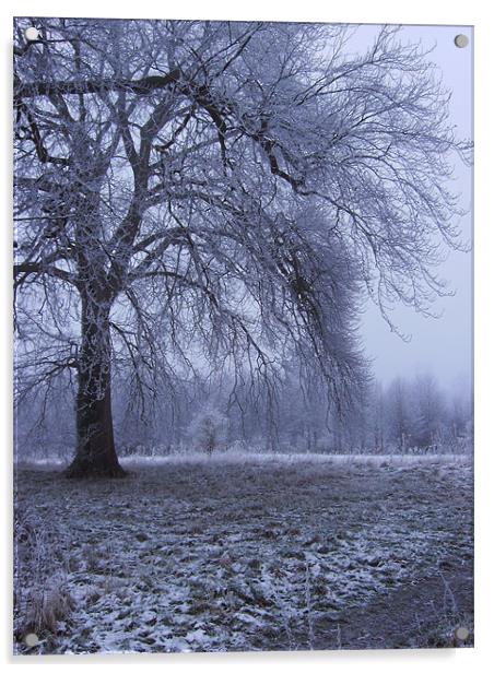 Winter Parkland Acrylic by Alan Winter