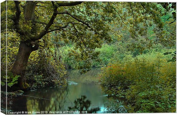 River Wey view Canvas Print by Mark  F Banks