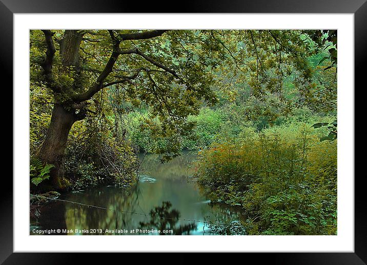 River Wey view Framed Mounted Print by Mark  F Banks