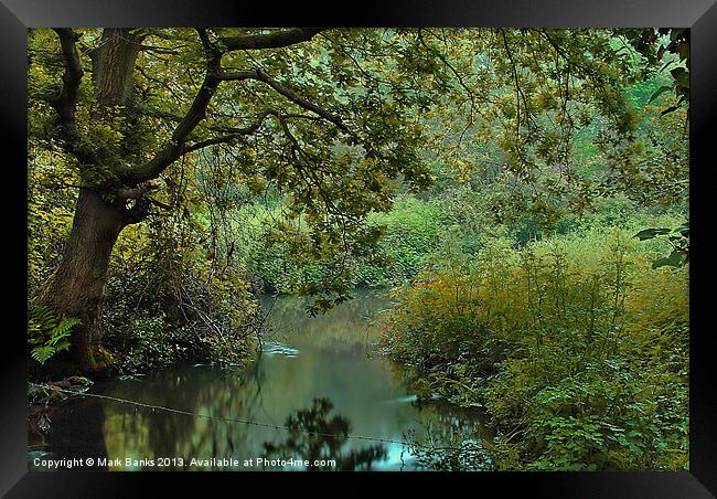 River Wey view Framed Print by Mark  F Banks