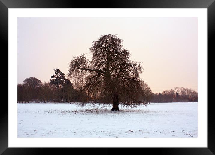 Early Morning Snow Framed Mounted Print by Alan Winter