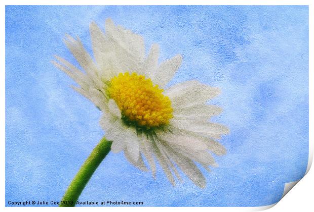 Daisy Textures 2 Print by Julie Coe