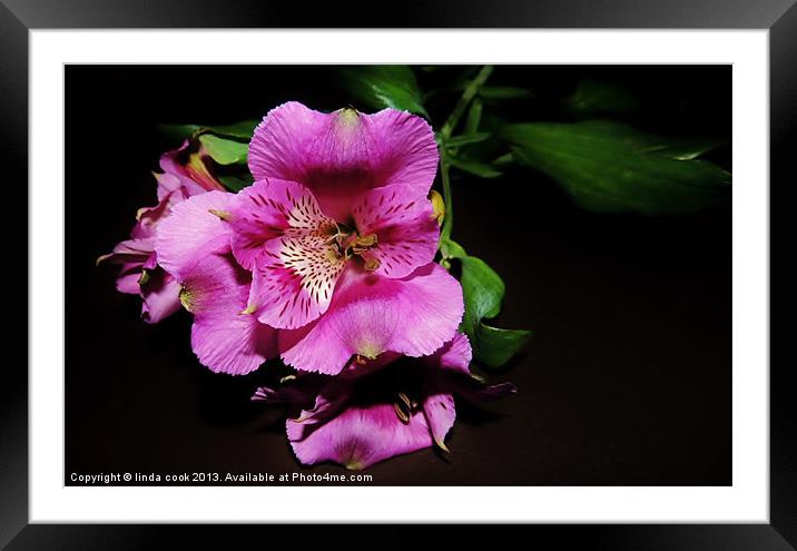 the beauty of flowers... Framed Mounted Print by linda cook