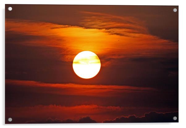 Sunset Acrylic by Rachel & Martin Pics