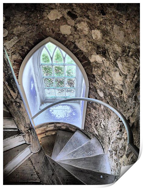 Lewes Castle Window Print by Larry  Davis