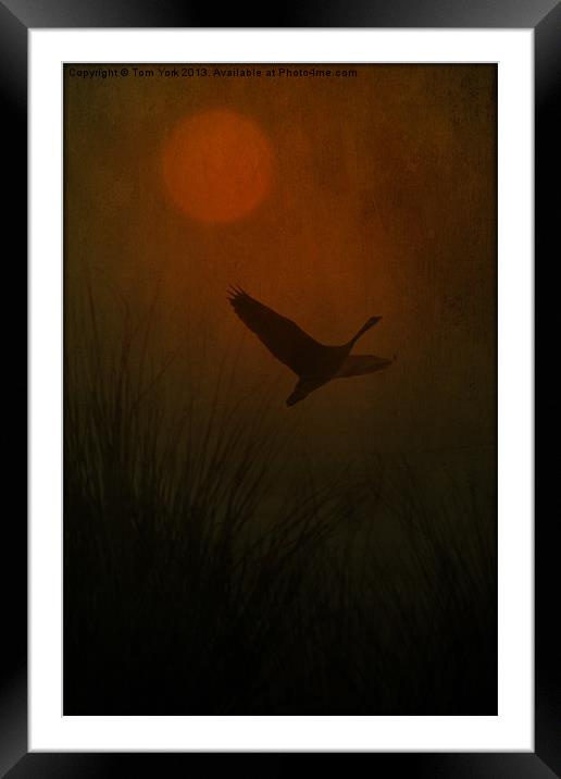 LIFT OFF Framed Mounted Print by Tom York