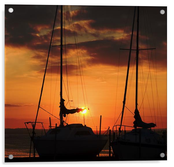 Sun Set Sail Acrylic by Tony Reddington