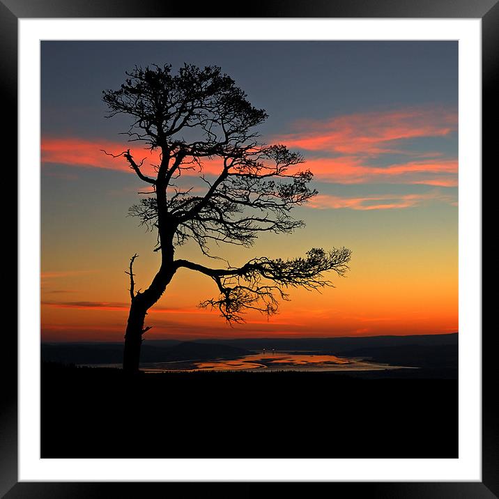 Sunrise silhouette Framed Mounted Print by Macrae Images