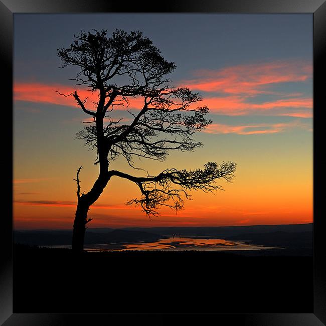 Sunrise silhouette Framed Print by Macrae Images