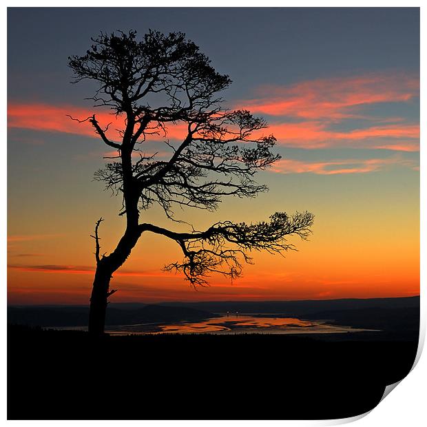 Sunrise silhouette Print by Macrae Images