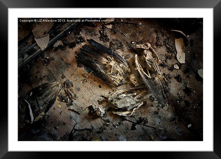 Deathly Hallows Framed Mounted Print by LIZ Alderdice