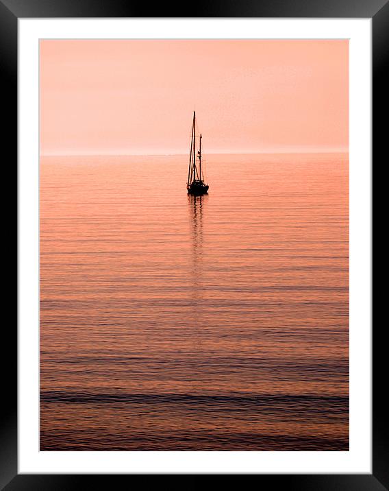 Morning Sail Framed Mounted Print by David Hollingworth