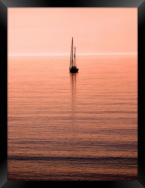 Morning Sail Framed Print by David Hollingworth