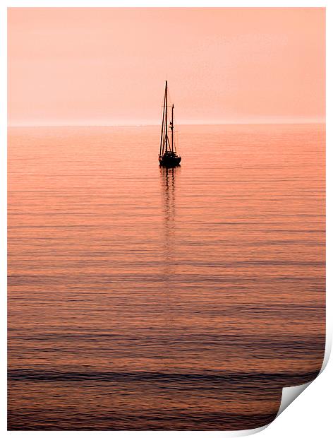 Morning Sail Print by David Hollingworth