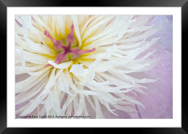 The Flower Framed Mounted Print by Dave Turner