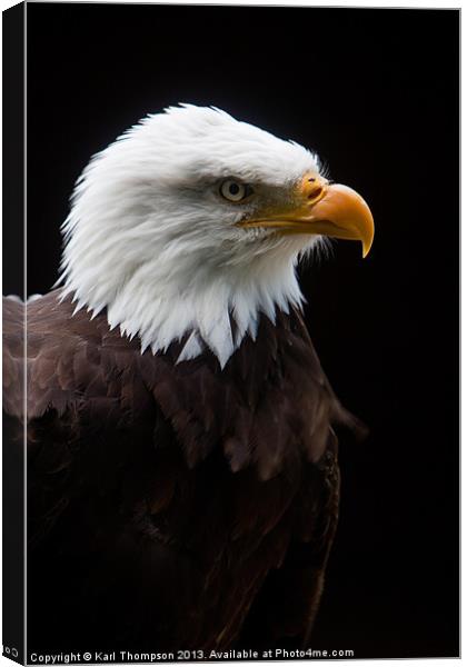 Majestic American Bald Eagle Canvas Print by Karl Thompson