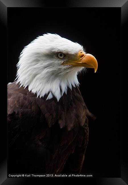 Majestic American Bald Eagle Framed Print by Karl Thompson