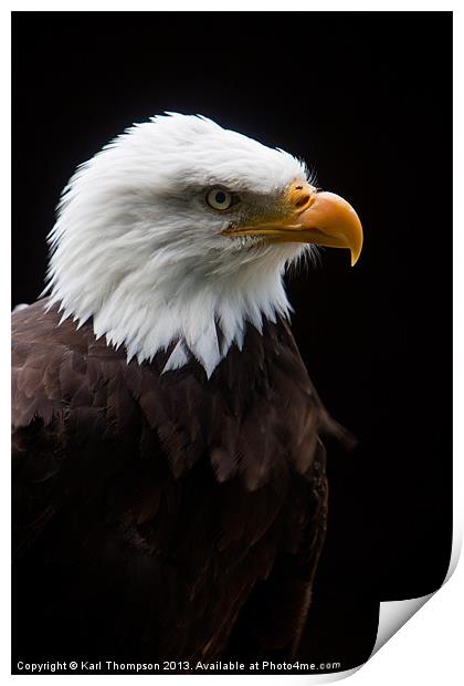 Majestic American Bald Eagle Print by Karl Thompson
