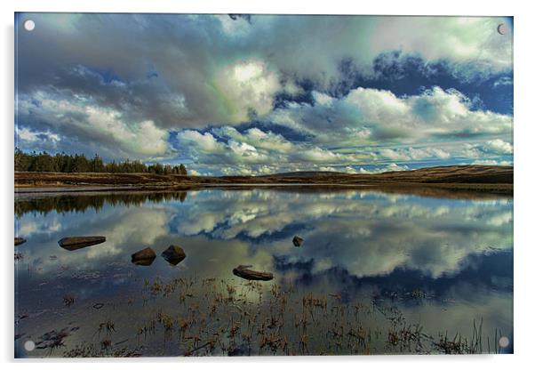Scottish Highland Lochan Acrylic by Andy Anderson