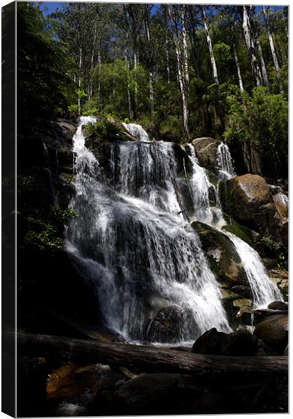 Toorongo Falls Canvas Print by Graham Palmer