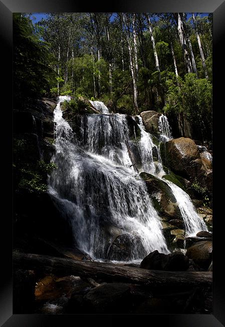 Toorongo Falls Framed Print by Graham Palmer