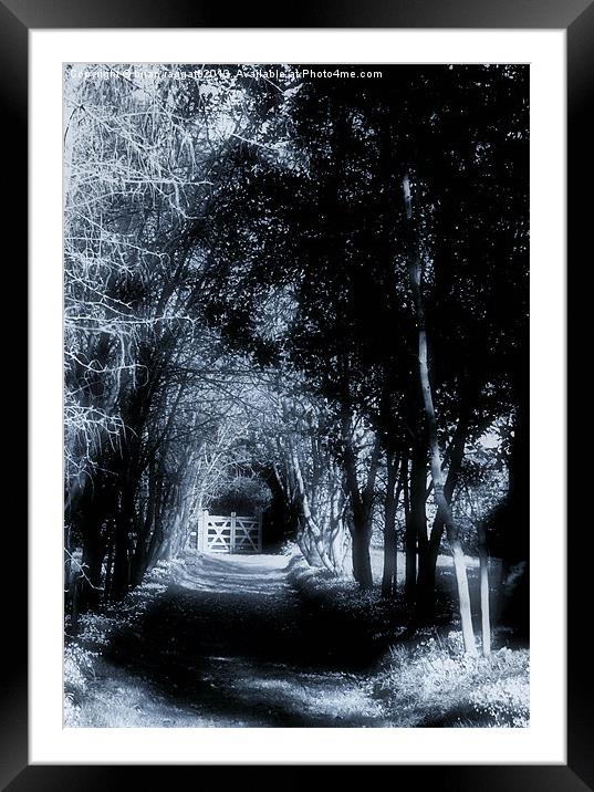 Beyond The Gate May be What you Seek Framed Mounted Print by Brian  Raggatt