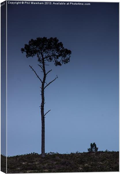 Little and Large Canvas Print by Phil Wareham