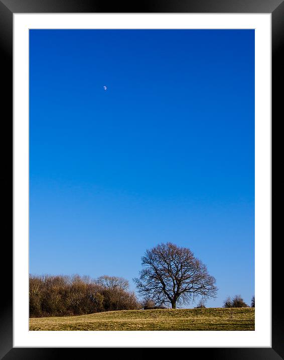 Blue Sky Day Framed Mounted Print by Mark Llewellyn