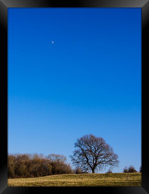 Blue Sky Day Framed Print by Mark Llewellyn