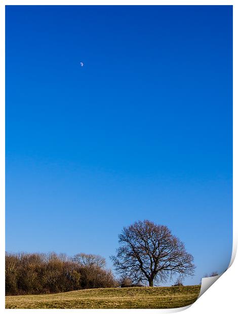 Blue Sky Day Print by Mark Llewellyn