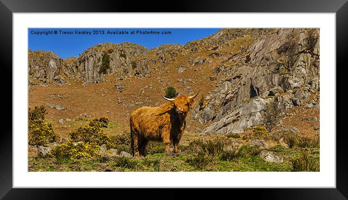 King of the Fells Framed Mounted Print by Trevor Kersley RIP
