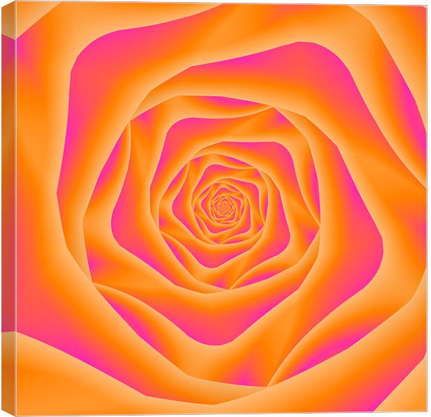 Orange and Pink Rose Spiral Canvas Print by Colin Forrest