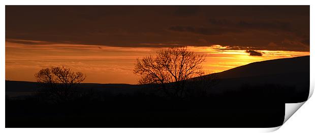 Sunset Dingle Print by barbara walsh