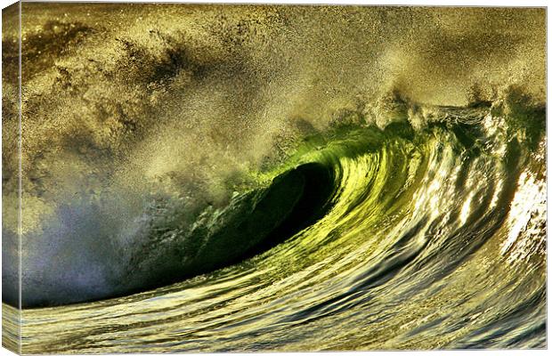 Wild Wave Canvas Print by Geoff Tydeman