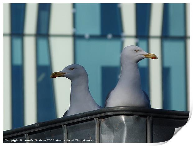 Gull Study Print by Jennifer Henderson